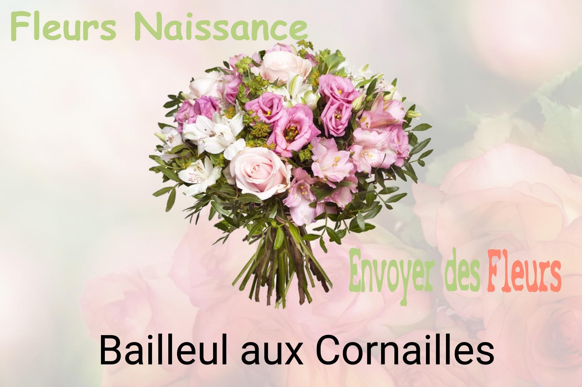 Bouquet de fleurs de naissance livré à Bailleul-aux-Cornailles