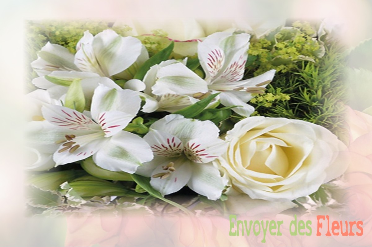 envoyer des fleurs à à BAILLEUL-AUX-CORNAILLES